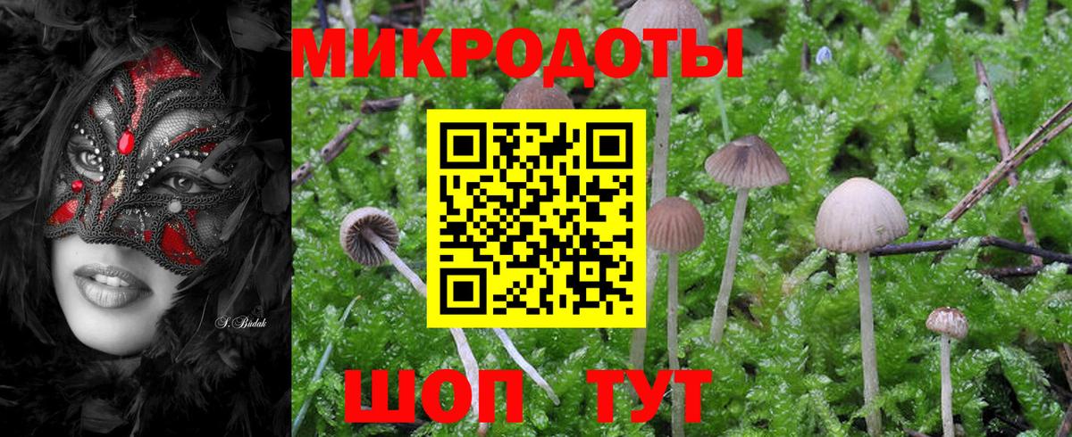 Псилоцибиновые грибы GOLDEN TEACHER Солнечногорск